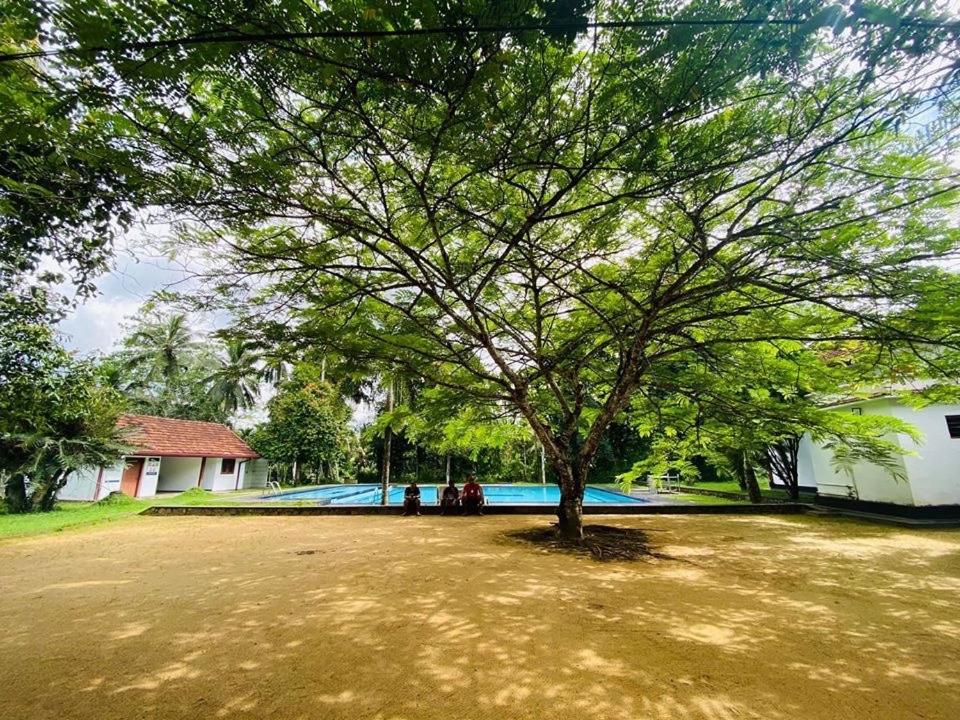 Randiyaepiliyagoda Resort Avissawella Ngoại thất bức ảnh