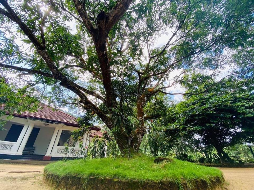 Randiyaepiliyagoda Resort Avissawella Ngoại thất bức ảnh