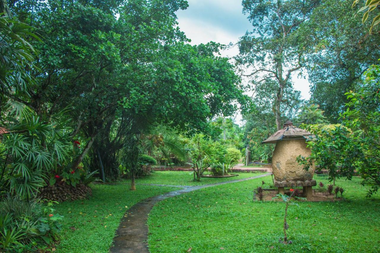 Randiyaepiliyagoda Resort Avissawella Ngoại thất bức ảnh
